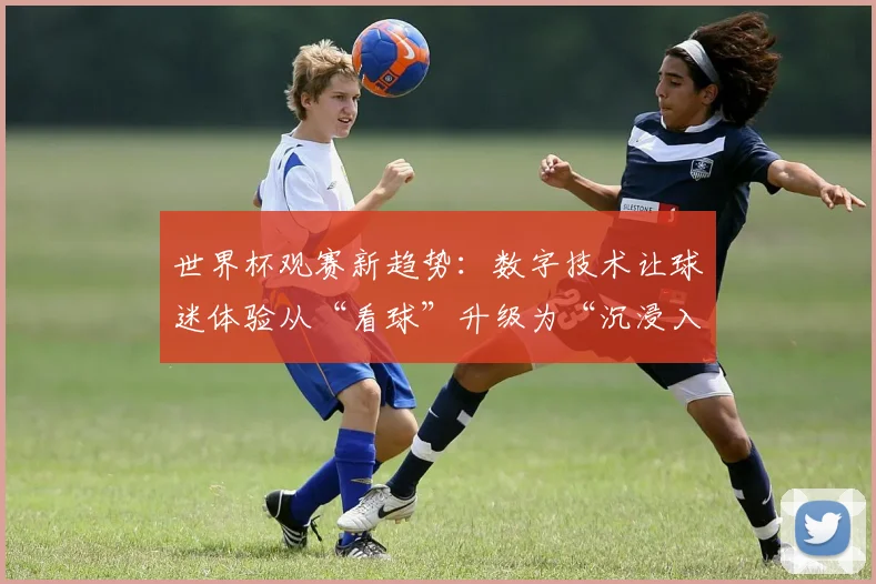 世界杯观赛新趋势：数字技术让球迷体验从“看球”升级为“沉浸入局”