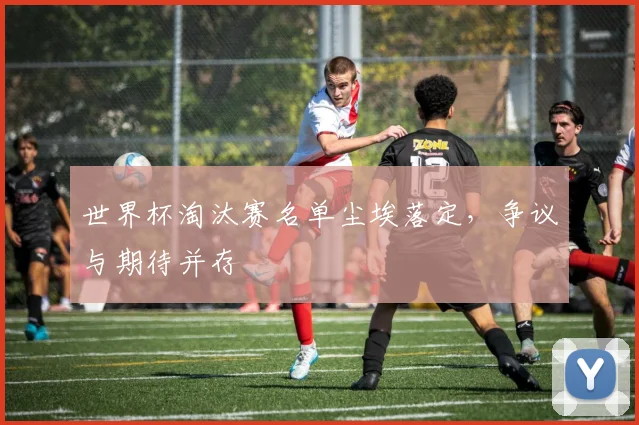 世界杯淘汰赛名单尘埃落定，争议与期待并存