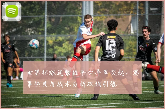 世界杯球迷数据平台异军突起，赛事热度与战术分析双线引爆