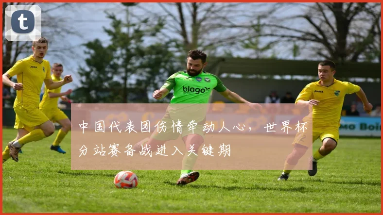 中国代表团伤情牵动人心，世界杯分站赛备战进入关键期
