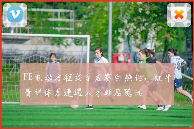 FE电动方程式季后赛白热化，红牛青训体系遭遇人才断层隐忧