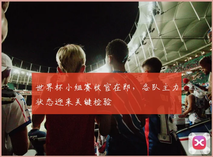 世界杯小组赛收官在即，各队主力状态迎来关键检验