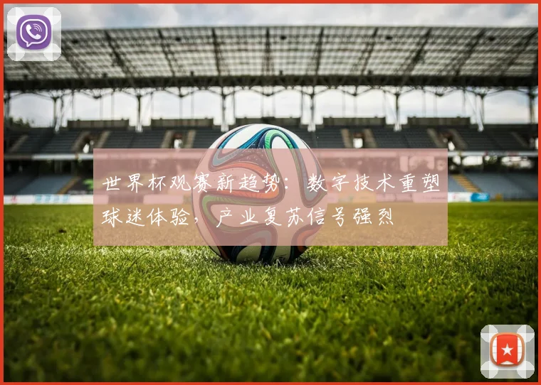 世界杯观赛新趋势：数字技术重塑球迷体验，产业复苏信号强烈