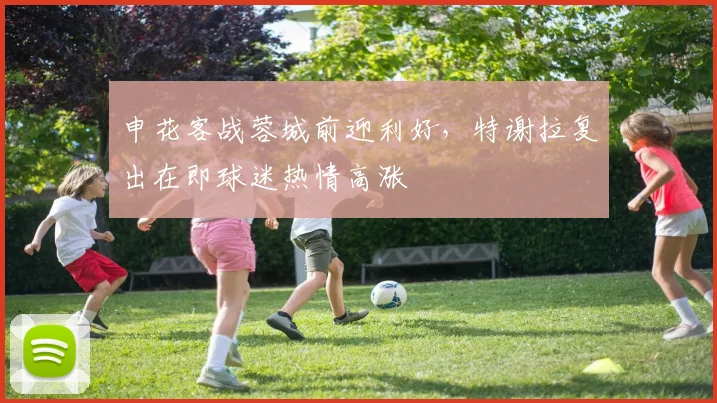 申花客战蓉城前迎利好，特谢拉复出在即球迷热情高涨